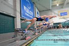 Swim vs Bentley  Wheaton College Swimming & Diving vs Bentley University. - Photo by Keith Nordstrom : Wheaton, Swimming & Diving